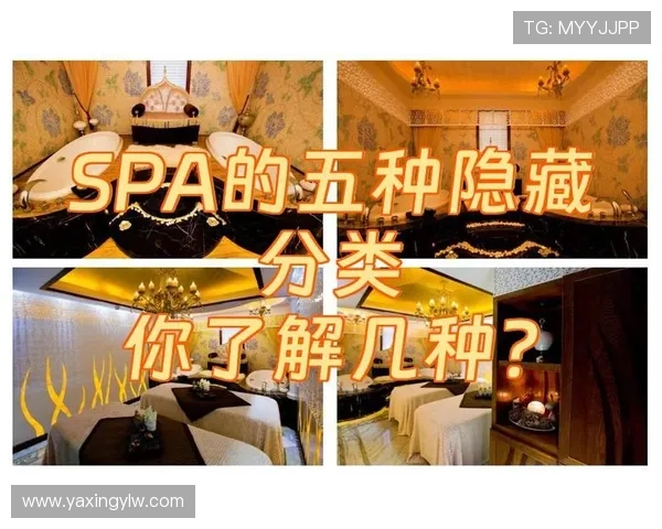 亚星娱乐在线注册平台用户评价与反馈真实体验分享助你了解平台信誉