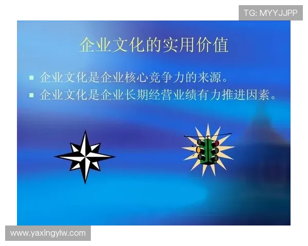 亚星官网222企业文化与发展战略深度剖析展现企业核心价值观