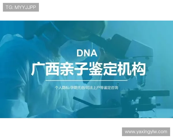 亚星手机版官方登录入口详细操作指南，轻松解决登录中的所有疑问