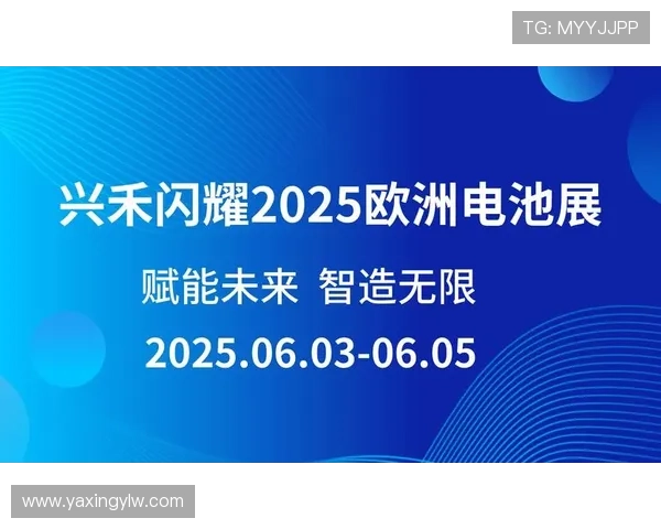 亚星222手机登录遇到问题怎么办,详细排查与解决方法 亚星222手机登录遇到问题怎么办,详细排查与解决方法