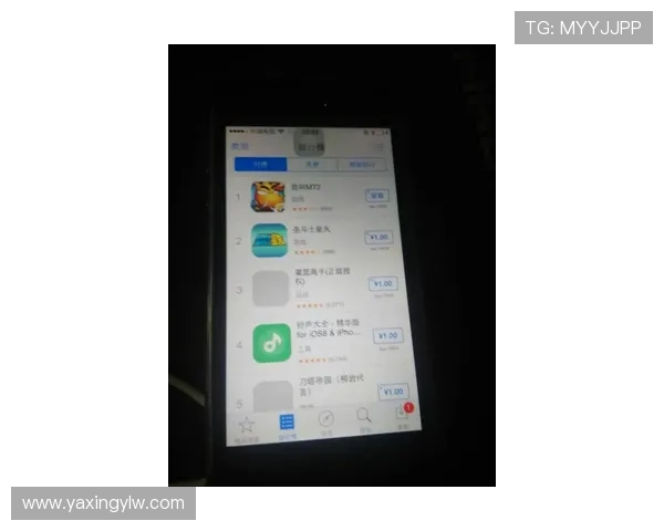 亚星平台手机登录遇到问题怎么办全面解决方案与常见故障排查